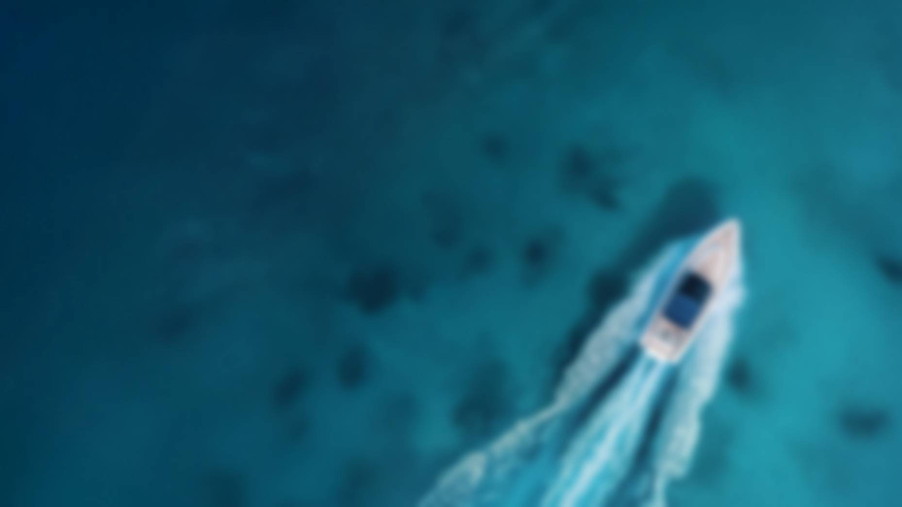 La Vida background image blurred